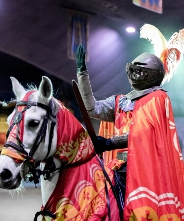 Medieval Times Dinner and Tournament Ticket in Myrtle Beach - Klook Canada